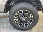 New 2026 Ford F-350 Platinum Crew Cab for sale #AD1800 - photo 21