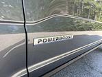 New 2025 Ford F-150 Platinum SuperCrew Cab for sale #AD1878 - photo 21