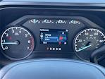 2024 Ford F-250 Regular Cab 4x4 Pickup for sale #AH1043 - photo 8