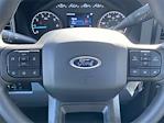 2024 Ford F-250 Regular Cab 4x4 Pickup for sale #AH1067 - photo 16