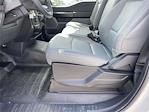 2025 Ford F-150 Regular Cab 4x2 Pickup for sale #AH1211 - photo 19