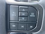 2025 Ford F-250 Crew Cab 4x4 Pickup for sale #AH1272 - photo 18