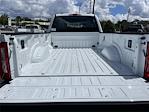 2025 Ford F-350 Crew Cab SRW 4x4 Pickup for sale #AH1279 - photo 20