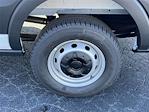 New 2026 Ford Transit 250 Low Roof Empty Cargo Van for sale #AH1378 - photo 21