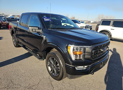 Used 2023 Ford F-150 - photo 1