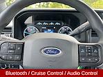 2025 Ford F-350 Crew Cab DRW 4WD Pickup for sale #20859A - photo 13