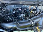 New 2025 Ford F-150 STX SuperCrew Cab 4WD Pickup for sale #24051 - photo 29