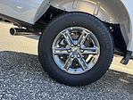 2024 Ford F-150 SuperCrew Cab 4x4 Pickup for sale #32341 - photo 23
