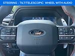 2025 Ford F-150 SuperCrew Cab 4x4 Pickup for sale #46659 - photo 20