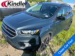 2019 Ford Escape 4x4 SUV for sale #50882B - photo 1