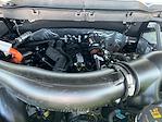 2025 Ford F-150 SuperCrew Cab 4x4 Pickup for sale #79108 - photo 4