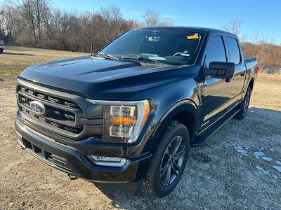 Used 2023 Ford F-150 - photo 1