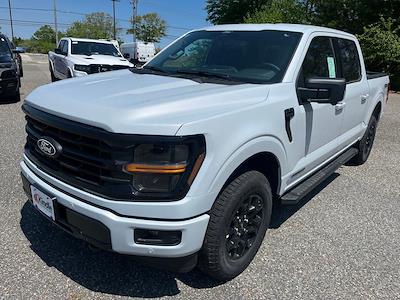 2025 Ford F-150 SuperCrew Cab 4x4 Pickup for sale #82453 - photo 1