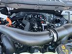 2025 Ford F-150 SuperCrew Cab 4x4 Pickup for sale #82453 - photo 31