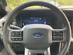 2025 Ford F-150 SuperCrew Cab 4x4 Pickup for sale #DC25155 - photo 24