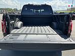 2025 Ford F-150 SuperCrew Cab 4x4 Pickup for sale #DC25189 - photo 31