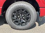 2025 Ford F-150 SuperCrew Cab 4x4 Pickup for sale #DC25223 - photo 25
