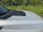 2025 Ford F-150 SuperCrew Cab 4x4 Pickup for sale #DC25231 - photo 29