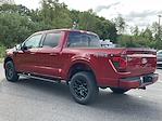 2025 Ford F-150 SuperCrew Cab 4WD Pickup for sale #DC25274 - photo 27