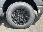 2025 Ford F-150 SuperCrew Cab 4x4 Pickup for sale #DC25280 - photo 26