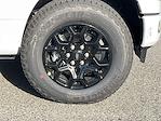 2025 Ford F-150 SuperCrew Cab 4WD Pickup for sale #DC25405 - photo 25