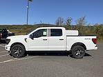 2025 Ford F-150 SuperCrew Cab 4WD Pickup for sale #DC25409 - photo 30