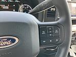 2026 Ford F-250 Crew Cab 4WD Pickup for sale #DC26000 - photo 10