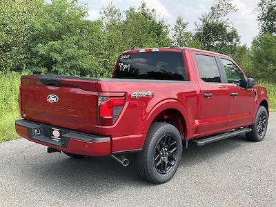 2025 Ford F-150 SuperCrew Cab 4x4 Pickup for sale #DCCR13379 - photo 2