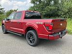 2025 Ford F-150 SuperCrew Cab 4x4 Pickup for sale #DCCR13379 - photo 27