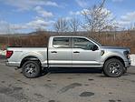 2025 Ford F-150 SuperCrew Cab 4WD Pickup for sale #DCCR13962 - photo 23