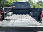 2025 Ford F-150 SuperCrew Cab 4x4 Pickup for sale #DCFS1280 - photo 32