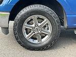 2024 Ford F-150 SuperCrew Cab 4x4 Pickup for sale #DCU7172 - photo 20