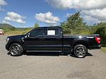2023 Ford F-150 SuperCrew Cab 4WD Pickup for sale #DCU7238 - photo 33