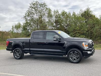 2023 Ford F-150 SuperCrew Cab 4WD Pickup for sale #DCU7264 - photo 1