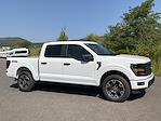 2025 Ford F-150 SuperCrew Cab 4x4 Pickup for sale #DCYF1573 - photo 1