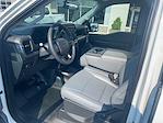 2025 Ford F-150 SuperCrew Cab 4WD Pickup for sale #F19621 - photo 14