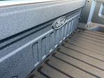 2025 Ford F-250 Crew Cab 4WD Pickup for sale #F67023 - photo 13