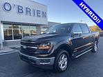 2024 Ford F-150 SuperCrew Cab 4WD Pickup for sale #P17086 - photo 1