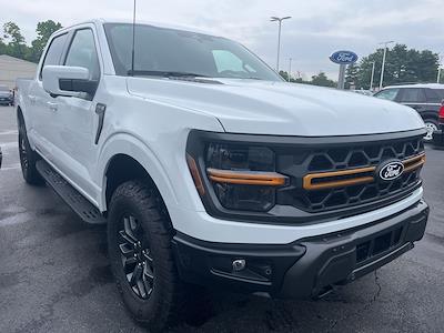 New 2025 Ford F-150 - photo 1