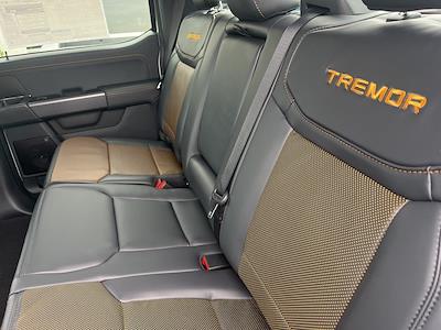 New 2025 Ford F-150 - photo 1