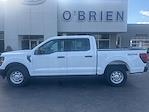 New 2025 Ford F-150 XL SuperCrew Cab 4WD Pickup for sale #T31779 - photo 3