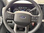 2025 Ford F-250 Regular Cab 4WD Pickup for sale #T52056D - photo 18