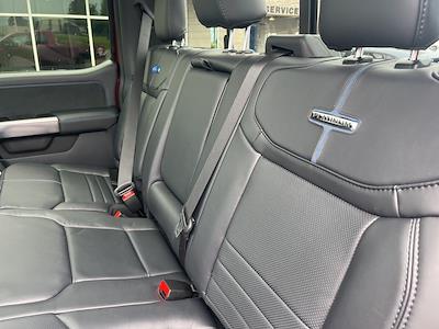 New 2025 Ford F-250 - photo 1