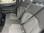 New 2025 Ford Ranger XL SuperCrew Cab 4WD Pickup for sale #T63494 - photo 10