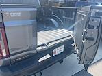 New 2025 Ford F-150 Tremor SuperCrew Cab 4WD Pickup for sale #T84950 - photo 13