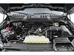 New 2026 Ford F-150 XL Regular Cab for sale #F26613 - photo 8