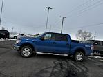 2010 Ford F-150 SuperCrew Cab 4WD Pickup for sale #AKE03713T - photo 1