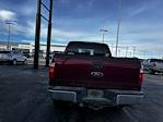 2014 Ford F-250 Crew Cab 4WD Pickup for sale #EEB51502P - photo 3