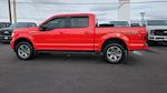 Used 2019 Ford F-150 XLT SuperCrew Cab for sale #KKD56232T - photo 7