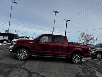 Used 2019 Ford F-150 - photo 1